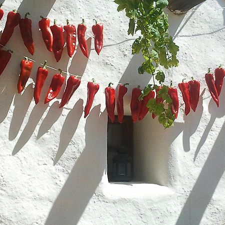 Hotel Rural Cortijo La Alberca Níjar Kültér fotó
