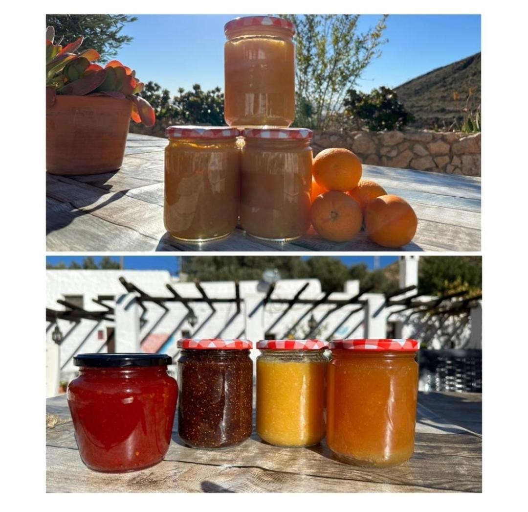 Hotel Rural Cortijo La Alberca Níjar Kültér fotó