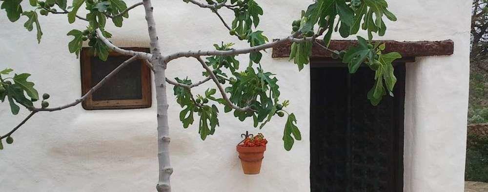 Hotel Rural Cortijo La Alberca Níjar Kültér fotó