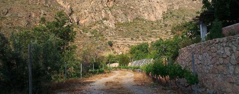 Hotel Rural Cortijo La Alberca Níjar Kültér fotó